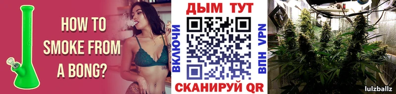 Бошки марихуана MAZAR  OMG рабочий сайт  Олёкминск 